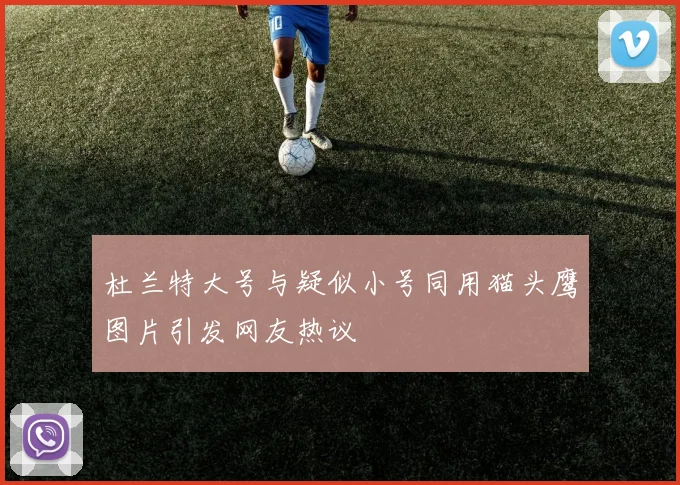 杜兰特大号与疑似小号同用猫头鹰图片引发网友热议